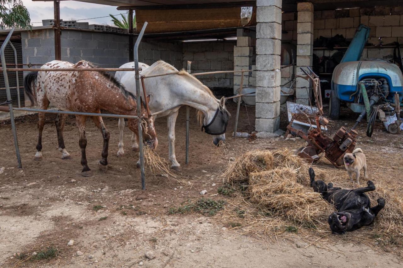 Masseria Cinti Bagnolo del Salento المظهر الخارجي الصورة